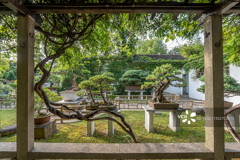 苏州留园盆景园图片素材