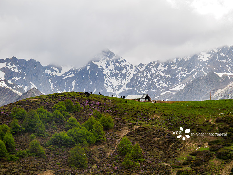 云南丽江香格里拉214国道白马雪山观景台图片素材