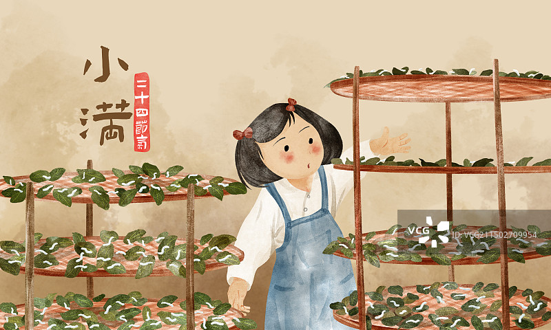 小满，养蚕的小女孩图片素材