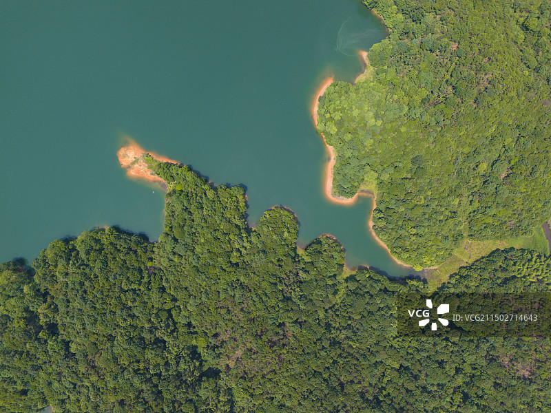 水库和森林高角度拍摄图片素材