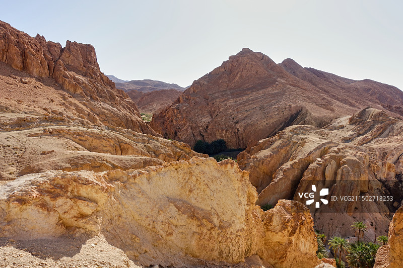 突尼斯托泽尔省歇比卡沙漠绿洲图片素材