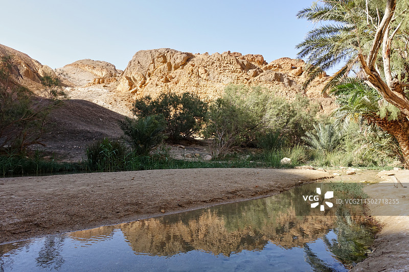 突尼斯托泽尔省歇比卡沙漠绿洲图片素材