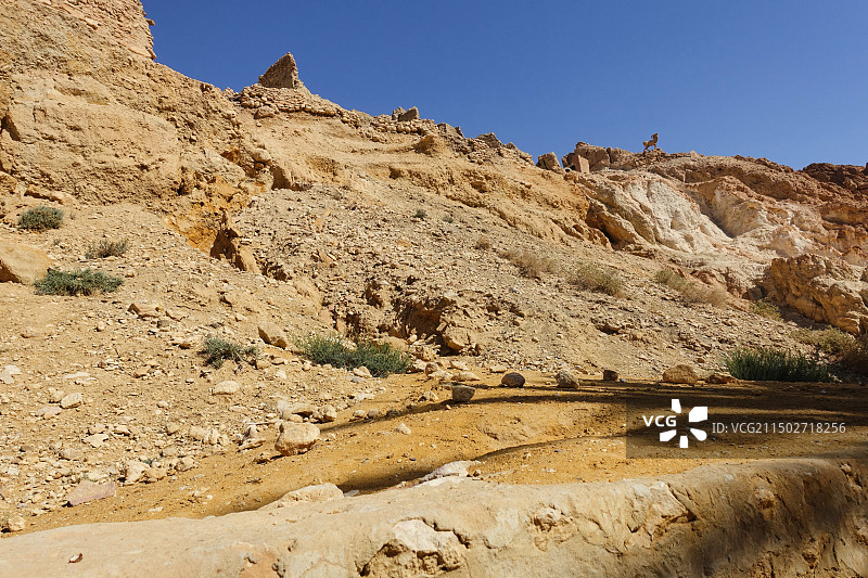 突尼斯托泽尔省歇比卡沙漠绿洲图片素材