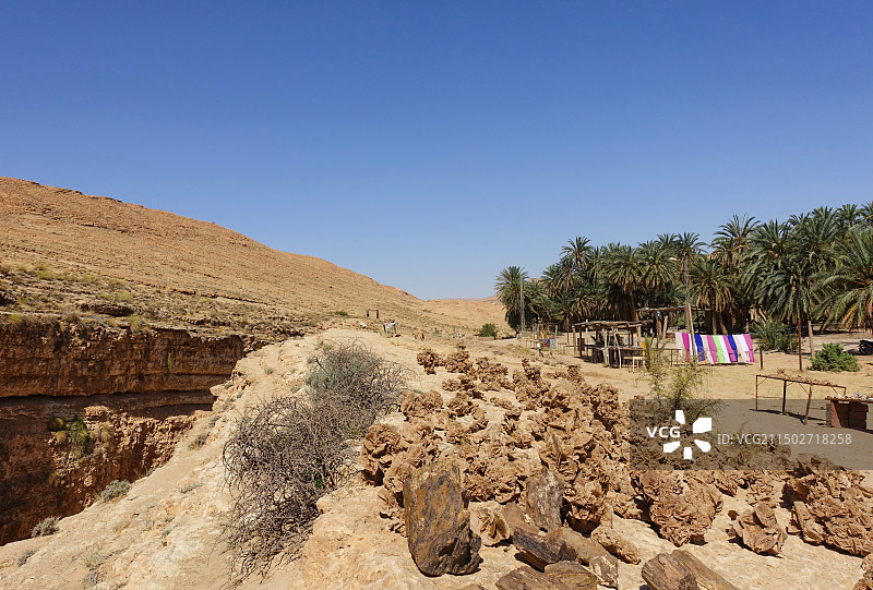 突尼斯托泽尔省歇比卡沙漠绿洲图片素材