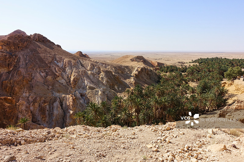 突尼斯托泽尔省歇比卡沙漠绿洲图片素材