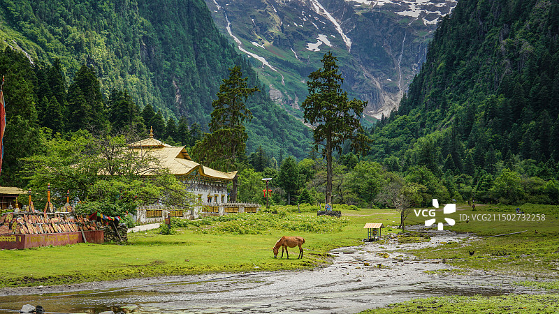 下雨崩雪山下的寺庙与湿地图片素材
