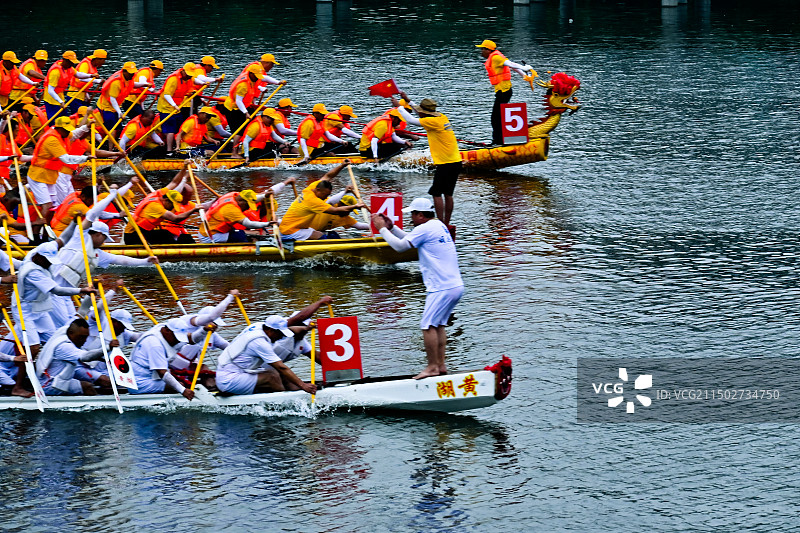 双桡龙舟赛图片素材