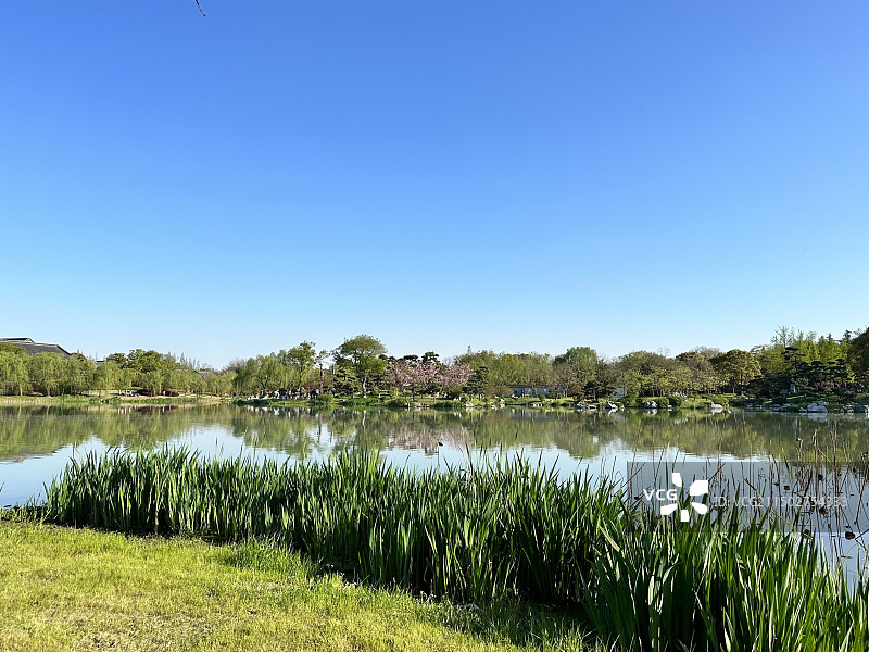 扬州瘦西湖，草地，湖水，远方的树木和蓝天图片素材