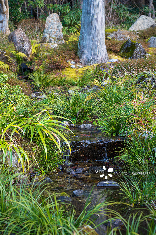 日本京都三千院佛教寺庙的古典园林风光图片素材