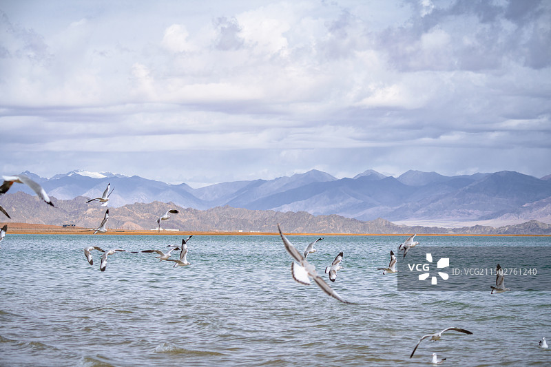 青甘大环线海西小柴旦湖图片素材