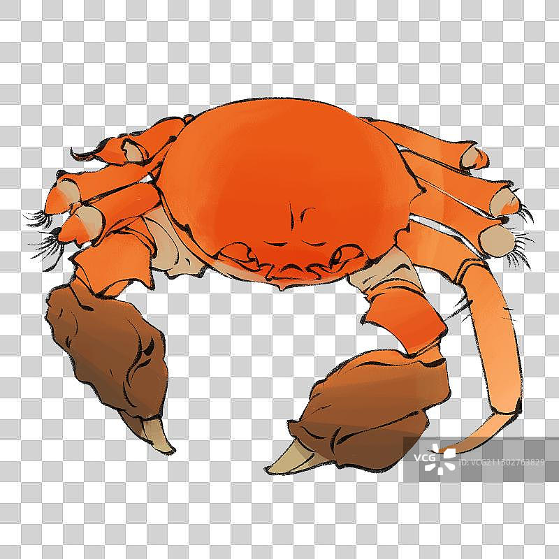 阳澄湖大闸蟹-江苏美食特产海鲜小吃手绘插画元素图片素材