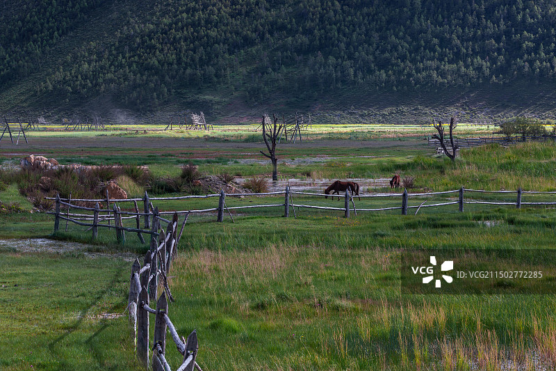 草原-牧栏-马匹图片素材