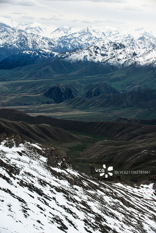 新疆六月的雪山、草地图片素材