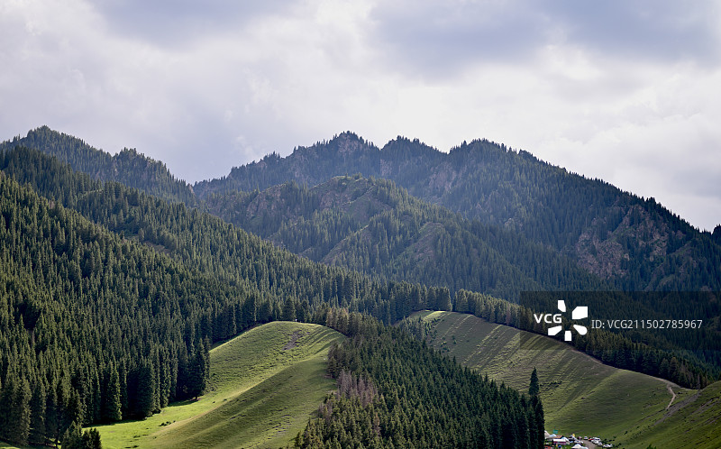 群山松林图片素材