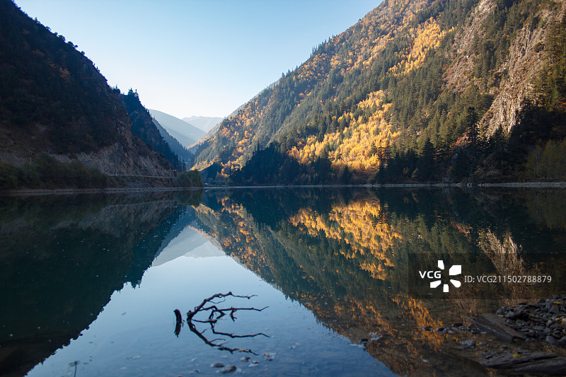 川西高原秋天树林与镜面湖泊风景图片素材