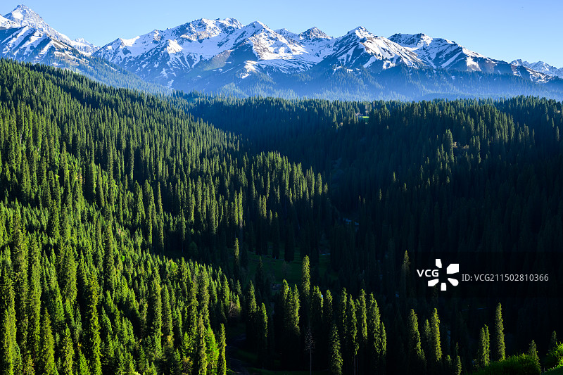 库尔德宁图片素材