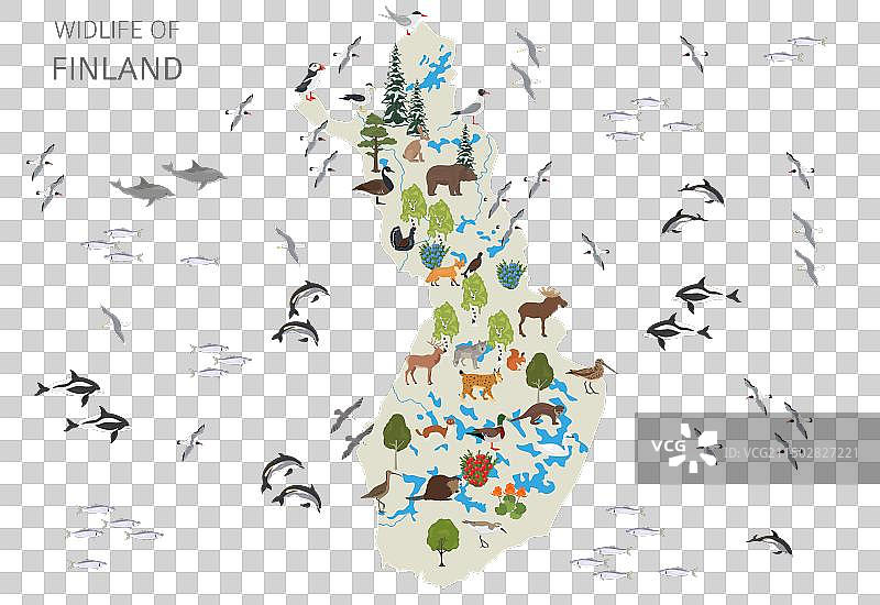 芬兰野生动物鸟类扁平风格设计图片素材