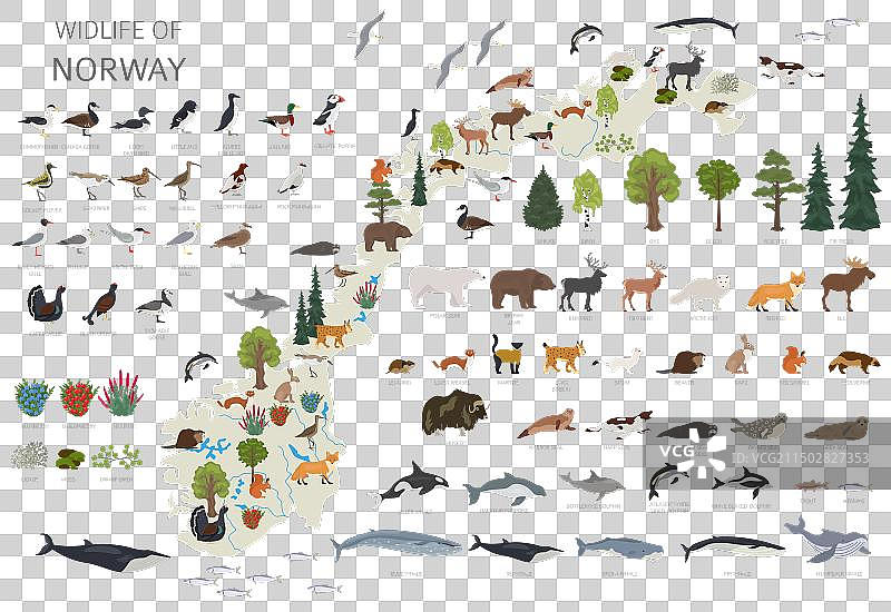 挪威野生动物地理动物和鸟类图片素材