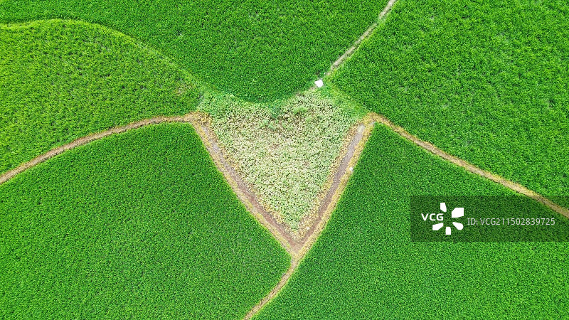 农业领域的高角度视角图片素材