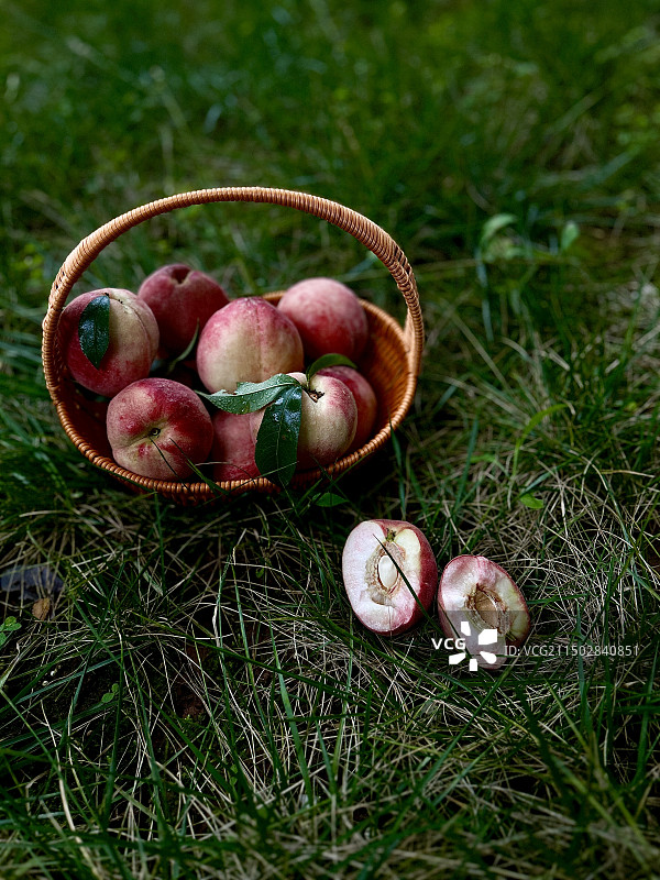 草地上的水果图片素材