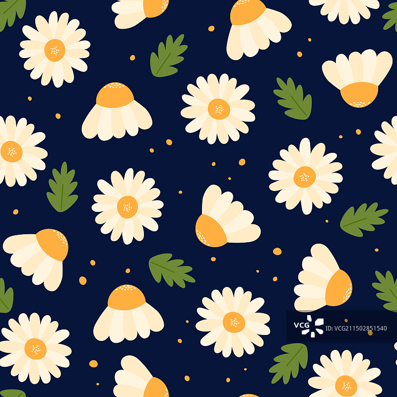 可爱的洋甘菊图案草地花瓣图片素材