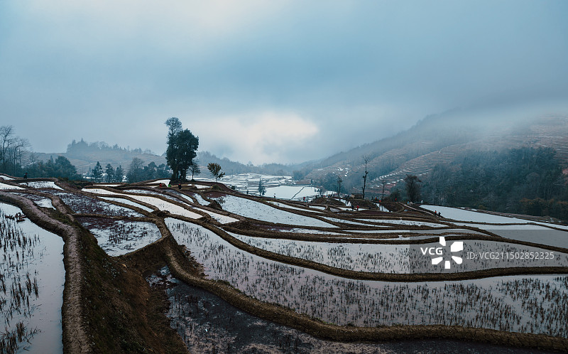 云雾中的元阳671A8963图片素材