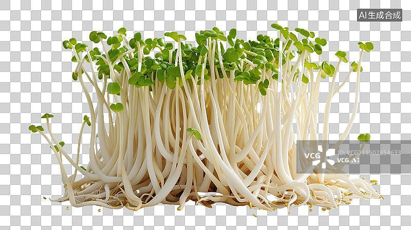 【AI数字艺术】新鲜的豆芽免抠元素图片素材