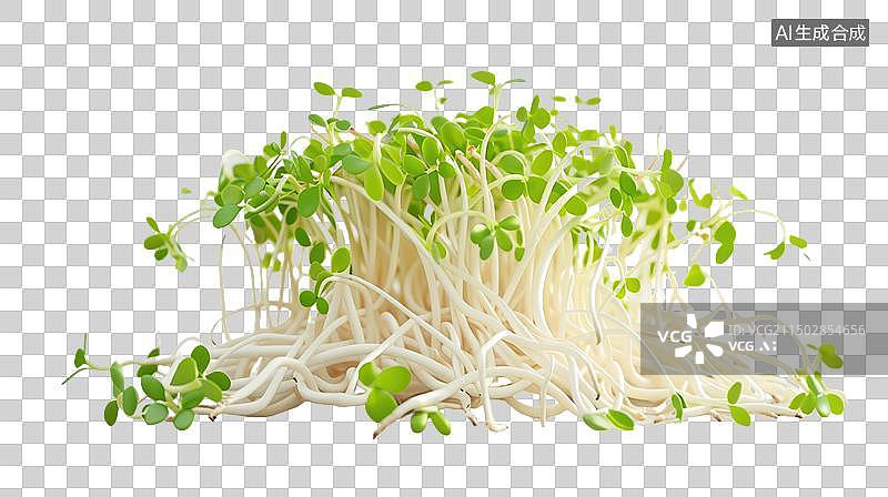 【AI数字艺术】新鲜的豆芽免抠元素图片素材