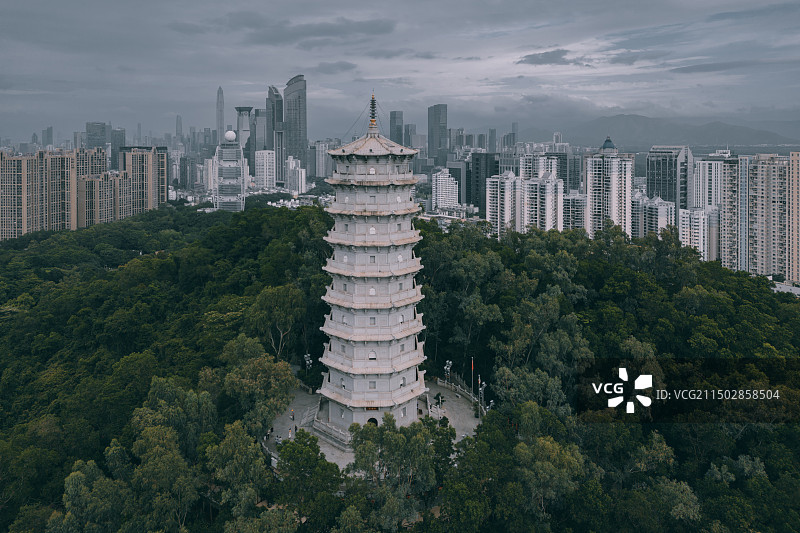 深圳 园博园 园艺博览会图片素材
