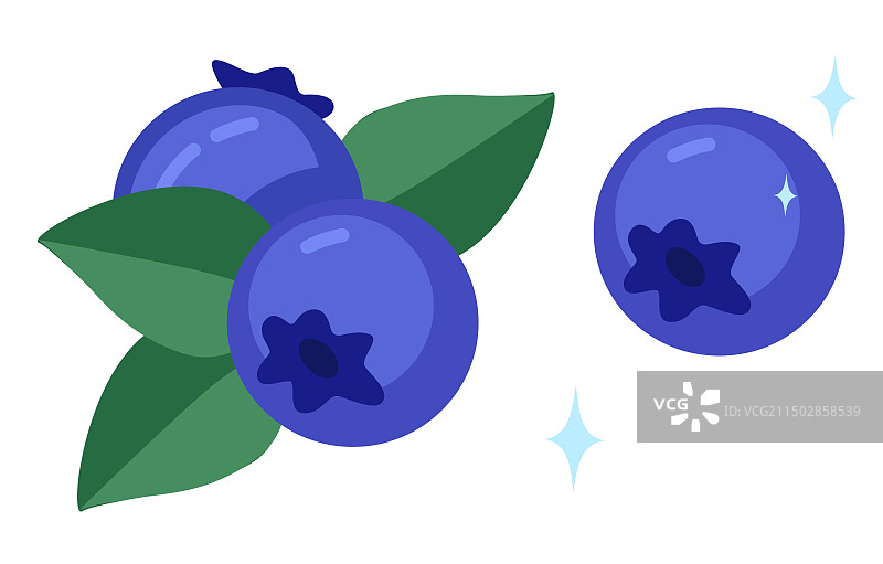 清新带叶子蓝莓插画图片素材