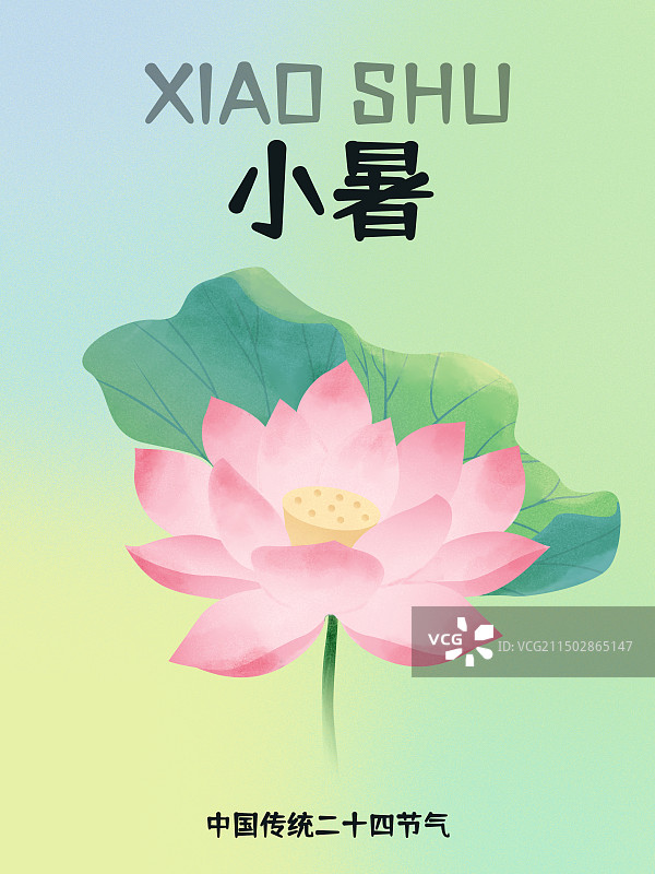 小暑节气海报荷花荷叶图片素材