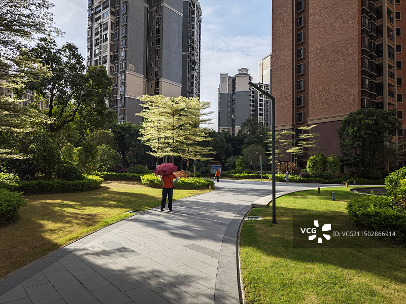 早晨阳光下的住宅区园林绿化图片素材