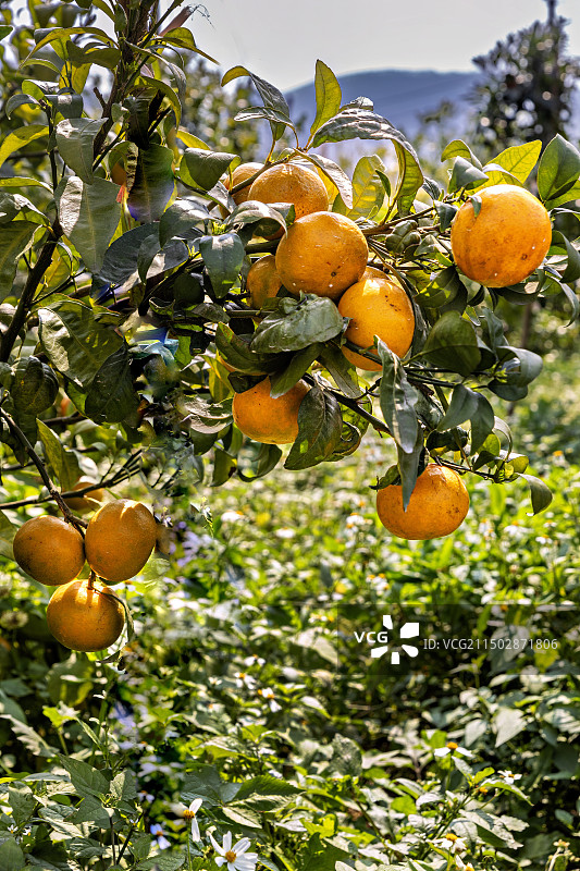 广西南宁市武鸣区林绿水库风光图片素材
