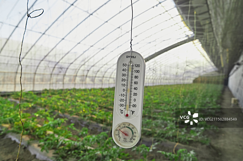 河北省沽源县库伦淖尔景区春季蔬菜大棚图片素材