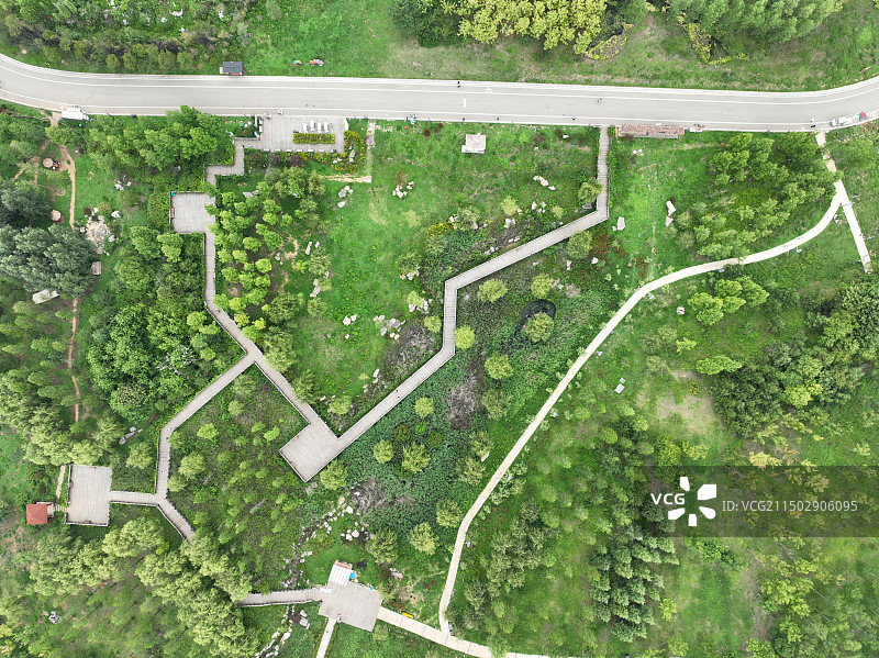 威宁县草海县城风光威宁草海北坡荞花盛开图片素材