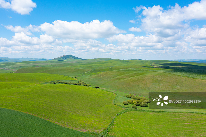 广阔的呼伦贝尔大草原图片素材