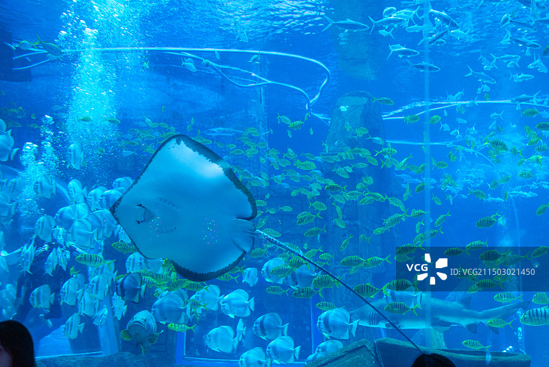 昆明融创海世界图片素材