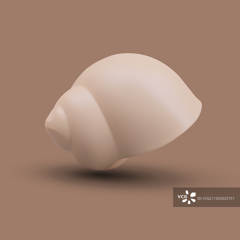 棕色海螺图片素材