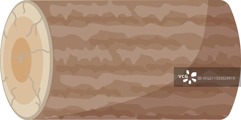 卡通原木横截面图片素材