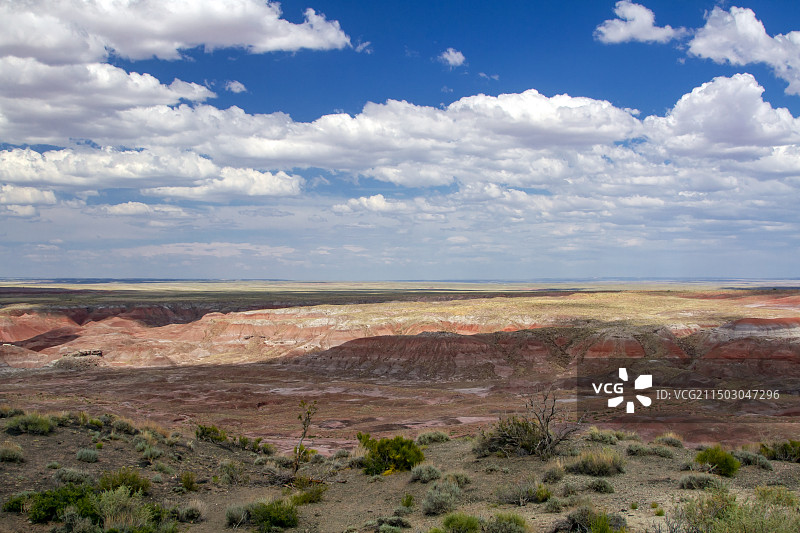 亚利桑那州石化森林公园图片素材