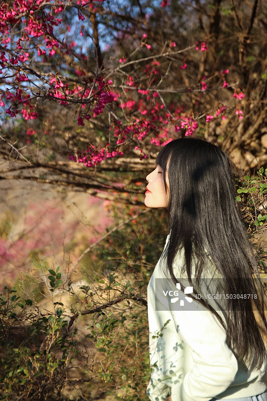 站在樱花树下的女人图片素材