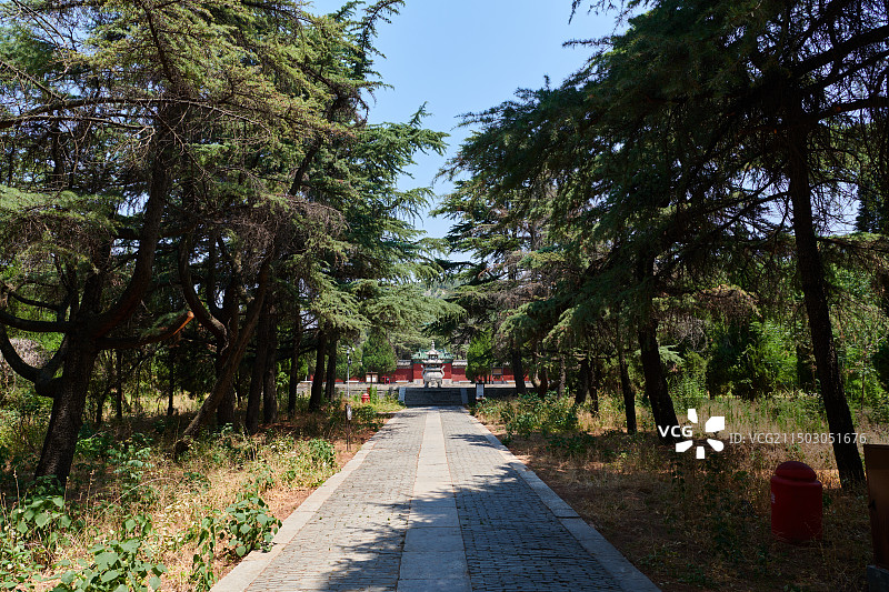 邹城明鲁王墓 鲁荒王陵图片素材