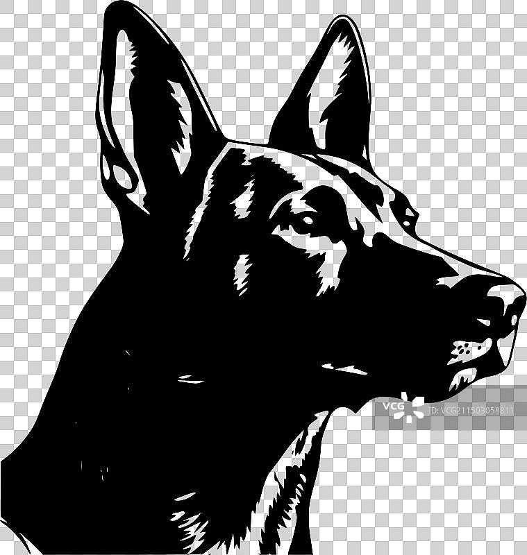 澳大利亚卡尔比犬 - 简约风格图片素材