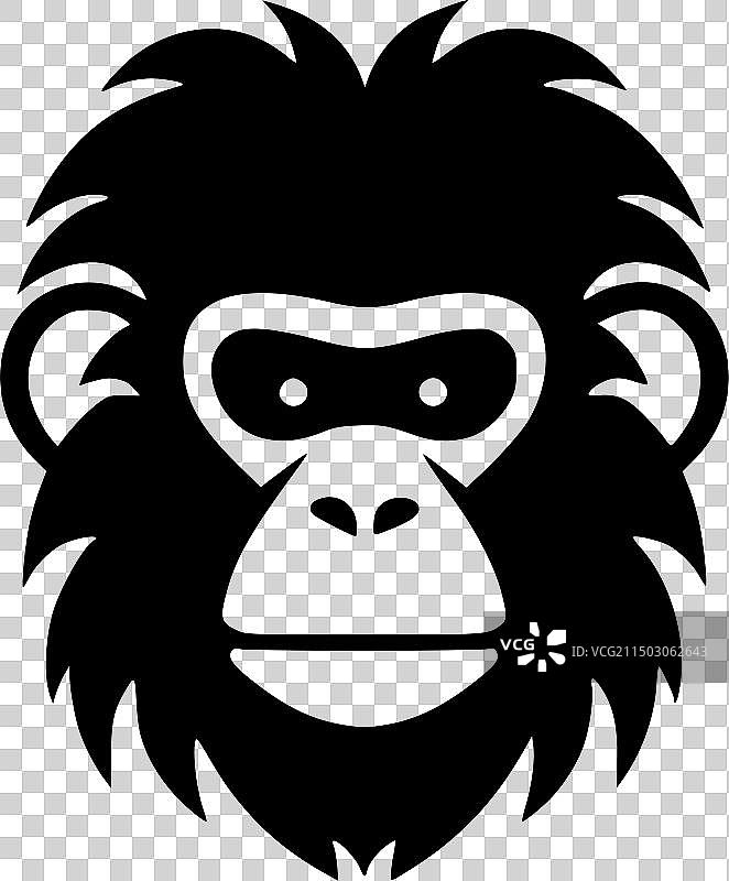 黑白猴子图片素材