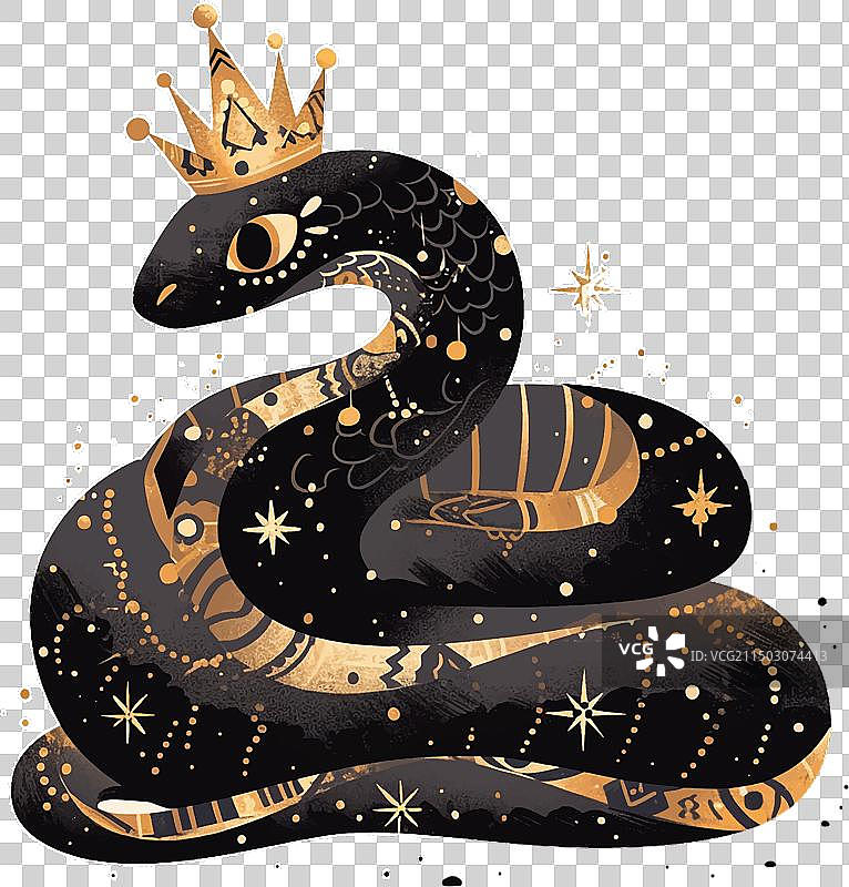 戴着皇冠的2025年黑色蛇图片素材