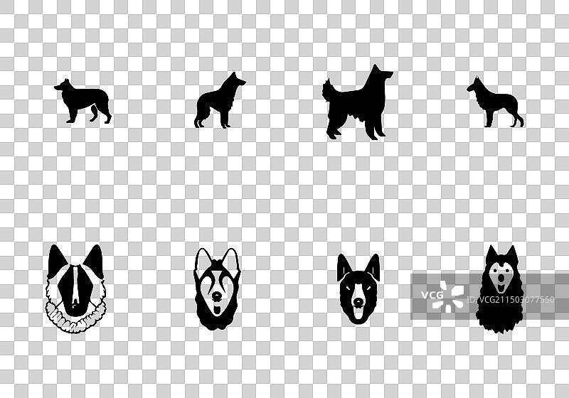 极简风格时尚比利时牧羊犬图标设计图片素材