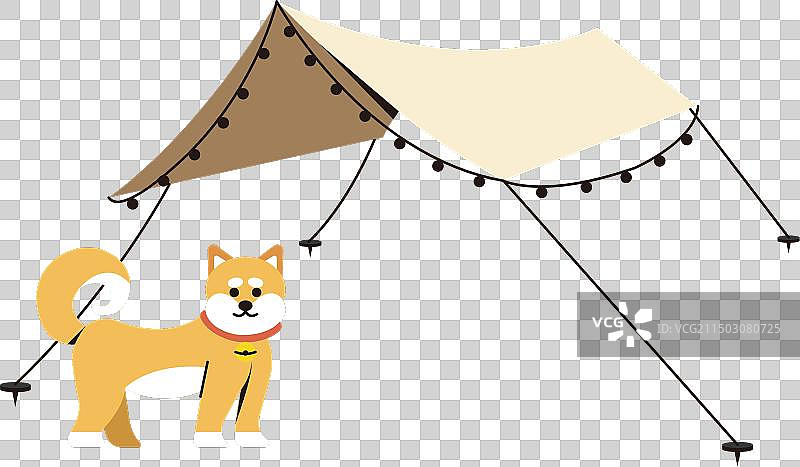 野营帐篷宠物狗图片素材
