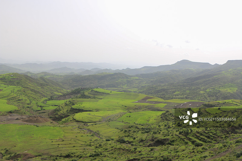 航拍茶园风光图片素材