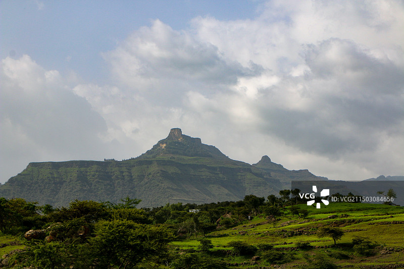 多云的天空衬托着风景的树木图片素材