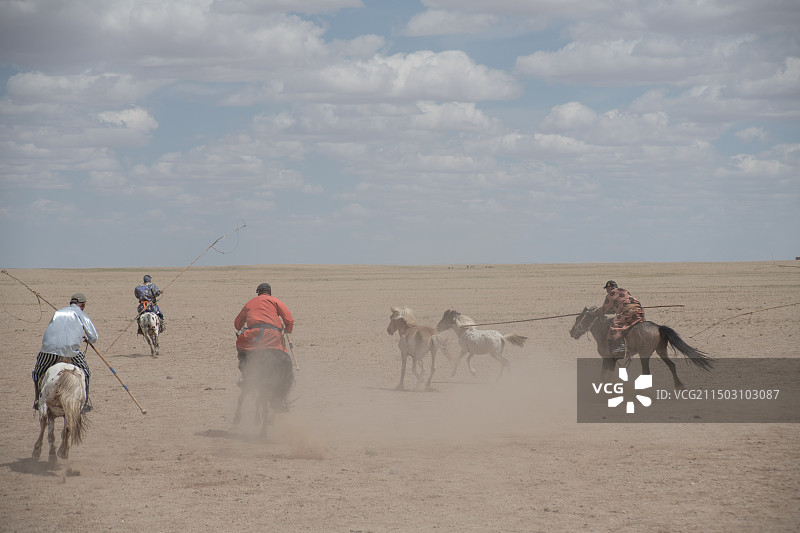草原上的套马图片素材